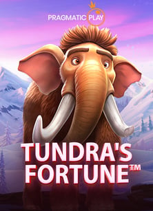 วิธีเล่น ยู ฟ่า สล็อต xo ให้ได้รับประสบการณ์ที่ดีที่สุด